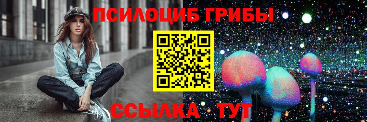 Галлюциногенные грибы мицелий  как найти   Вход с VPN  Мелеуз  Галлюциногенные грибы Psilocybine cubensis 