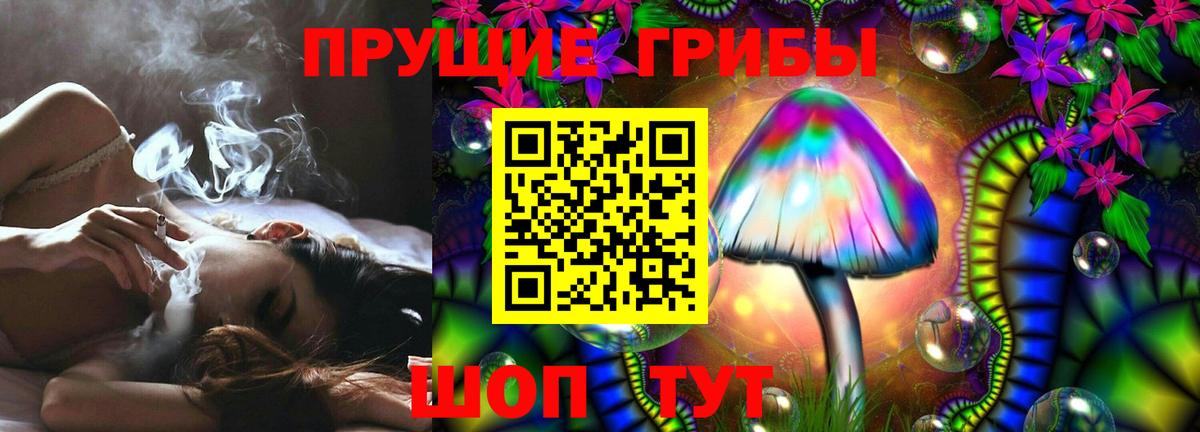 Галлюциногенные грибы Psilocybe Мелеуз